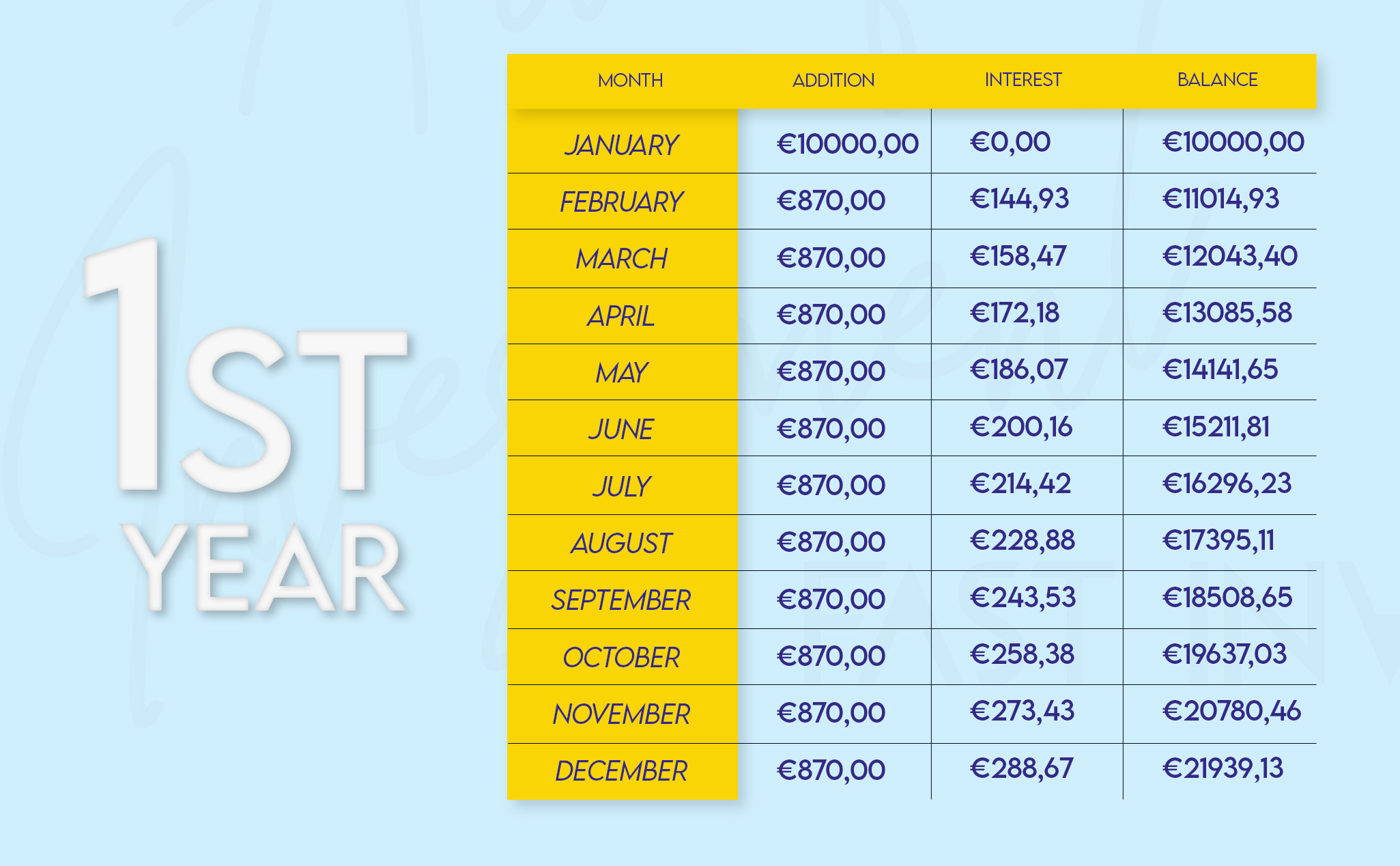 5 Year Investment Plan - 1st Year